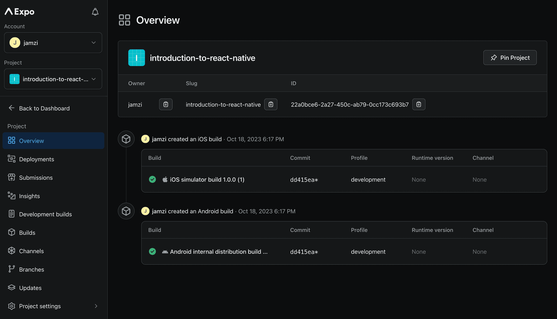 Expo EAS dashboard UI